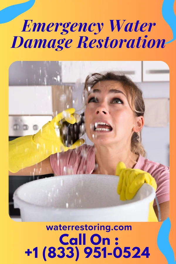 Emergency Water Damage Restoration in Meggett, SC