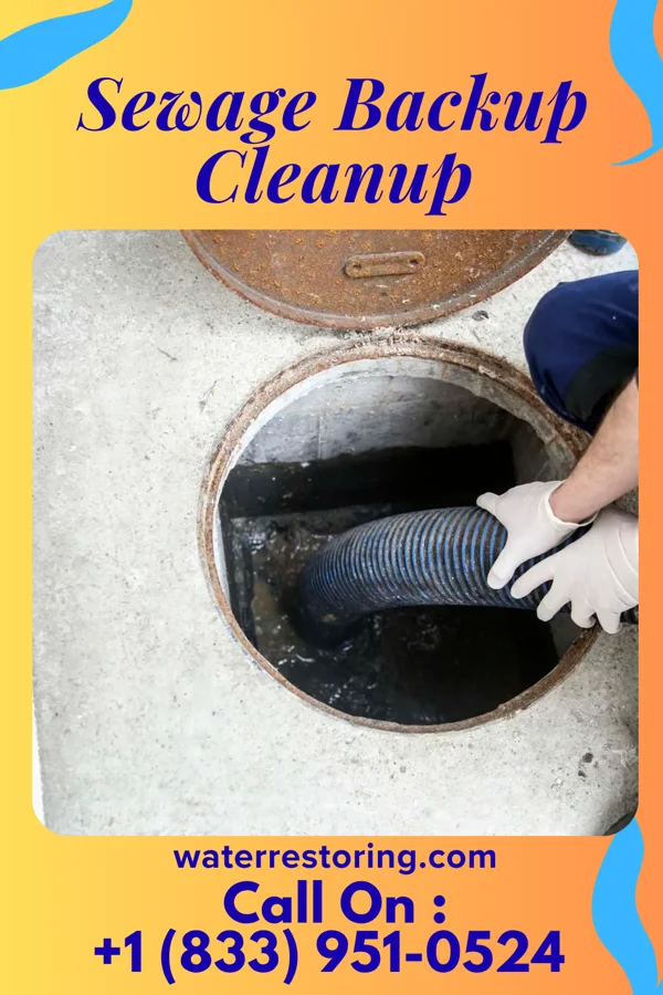 Sewage Backup Cleanup in Meggett, SC