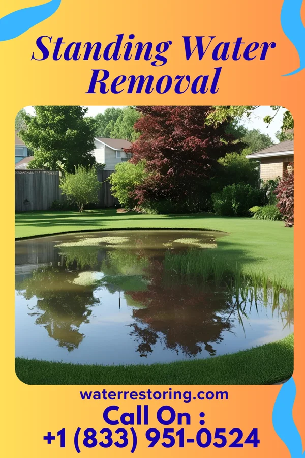Standing Water Removal in Meggett, SC